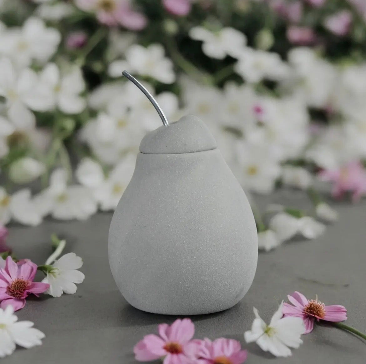 Brûle-Parfum Poire Belle Hélène – Fondant & Cire Parfumée 🍐🕯️